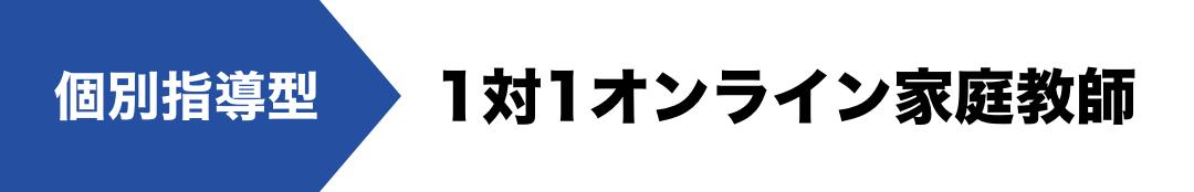 個別指導型 1対1オンライン家庭教師