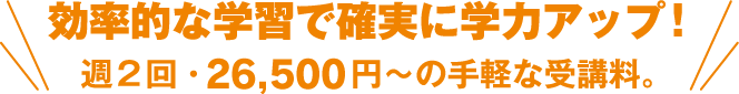 効率的な学習で確実に学力アップ! 週2回 手軽な受講料。