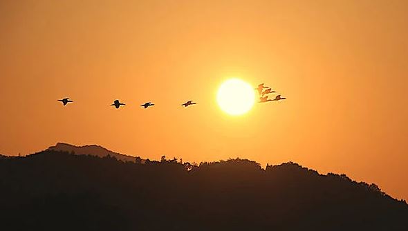 秋は夕暮れ 春日白水校 筑紫修学館校舎ブログ 福岡の学習塾 個別指導は筑紫修学館