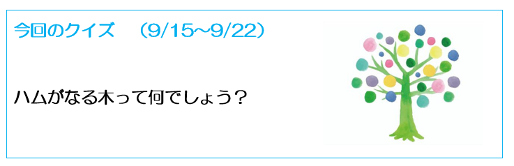 柔軟思考