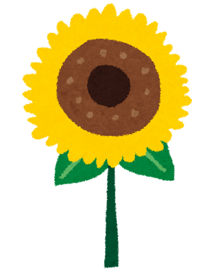 高校生の夏の生活