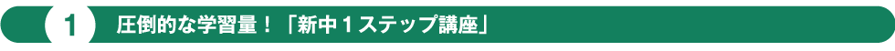 圧倒的な学習量！「新中１ステップ講座」