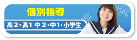 個別指導 高2・高1中2・中1・小学生