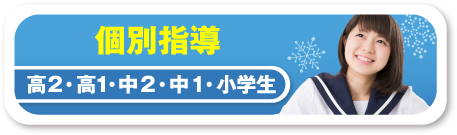 個別指導 高2・高1・中2・中1・小学生