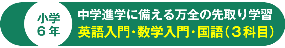 小学6年 中学進学に備える万全の先取り学習 英語入門・数学入門・国語（３科目）