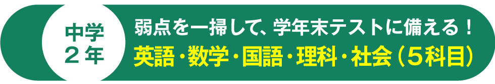 中学2年 弱点を一掃して、学年末テストに備える！英語・数学・国語・理科・社会（５科目） 