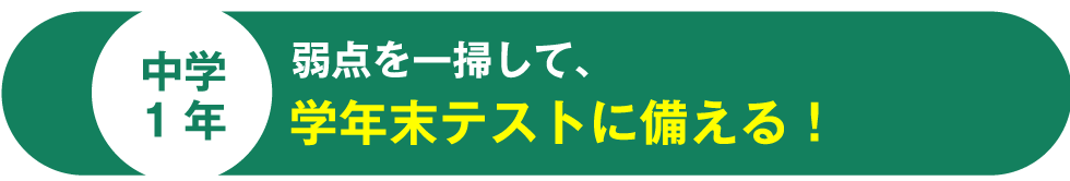 中学1年 弱点を一掃して、学年末テストに備える！ 