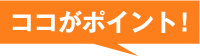 ココがポイント！