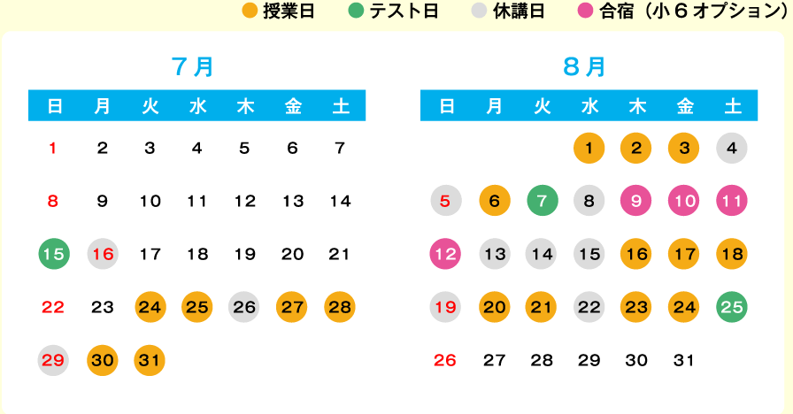 授業日 テスト日 休講日 合宿（小6オプション）