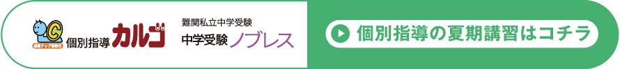 個別指導の夏期講習はコチラ