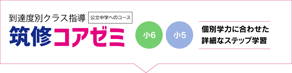 筑修コアゼミ 個別学力に合わせた詳細なステップ学習