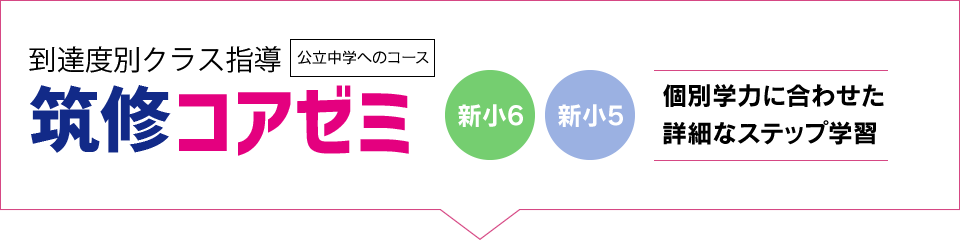 筑修コアゼミ 個別学力に合わせた詳細なステップ学習