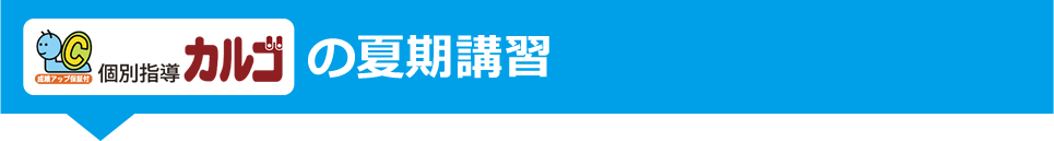 個別指導カルゴの夏期講習