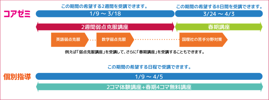 コアゼミ 個別指導