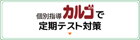 個別指導カルゴで定期テスト対策