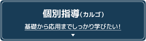 個別指導（カルゴ） 基礎から応用までしっかり学びたい！