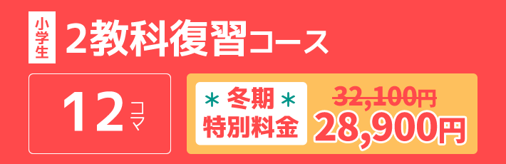 小学生：2教科復習コース