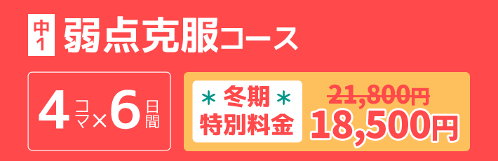 中1：弱点克服コース